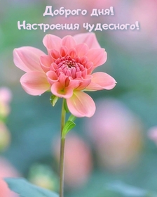 Картинка! Пожелание доброго дня! Красивая открытка! Благополучие — древнее сакральное слово, которое наши...