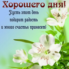 Новая картинка! Пожелание доброго дня! Красивая открытка! Пусть каждый день оставит неизгладимый след в жизни. Пусть...