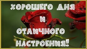 Открытка! Лучшее пожелание отличного дня! Красивая картинка! Хочется сказать море ласковых слов и пожелать только...