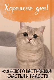 Открытка! Лучшее пожелание отличного дня! Красивая картинка! Поздравляю с наступлением вторника! Позади самый тяжелый...