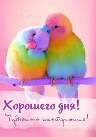 Новая картинка! Доброго дня, страна. Красивая открытка и пожелание на весь день. Пусть наступят счастливые времена и задержатся в твоей...