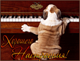 Новая открытка! Хорошего настроения. Картинка с пожеланием чудесного настроения. Желаю вам ощущать счастье ежедневно, ежечасно, ежеминутно...