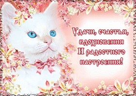 Новая картинка! От всей души пожелание прекрасного настроения, открытка хорошего настроения! Пусть в твою жизнь постучится огромное счастье и останется...