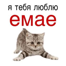 Новая картинка! Я Тебя люблю! Сердечная открытка! Моя мечта, чтобы со мной был самый честный, преданный...