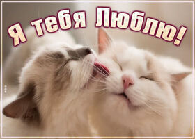 Открытка про любовь! От чистого сердца признание в любви! Открытка Я Тебя люблю! Каждый ищет свой идеал, а я нашла тебя