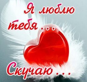 Картинка! Любовь! Лучшее признание в любви! Красивая картинка! Я Тебя люблю! Любовь моя! Я просыпаюсь каждое утро и счастье шаровой...