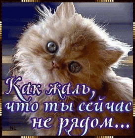Открытка про любовь! Я по тебе скучаю! Сердечная открытка! Скучаю по тебе, считаю дни, минуты до нашей встречи…...