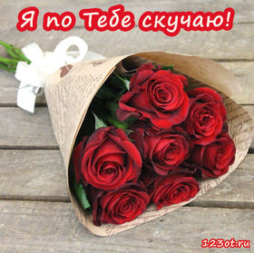 Открытка про любовь! Скучаю без Тебя! Признание в своих чувствах! Я Тебя люблю! Открытка! На сердце -20, а душа гуляет по набережной… Вся уже в...