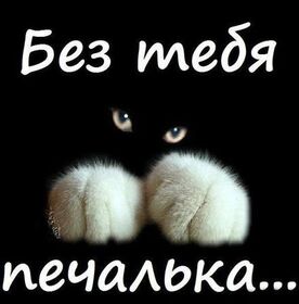 Новая картинка! Я по тебе скучаю! Сердечная открытка! Дорогой! Я без ума от тебя, твоей улыбки, походки...