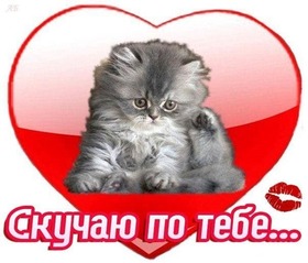 Новая открытка! Плохо без тебя! Скучаю! Я Тебя люблю! Красивая открытка с признанем в чувствах! Давай перемешаем воздух до однородной массы… Так чтобы в...