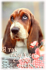 Картинка! Любовь! Скучаю без Тебя! Признание в своих чувствах! Я Тебя люблю! Открытка! Очень благодарен судьбе за удачную встречу с тобой. Ты...