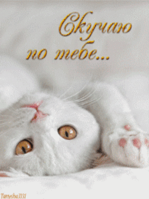 Открытка про любовь! Скучаю без Тебя! Признание в своих чувствах! Я Тебя люблю! Открытка! Среди берегов серости и печали мы нашли с тобой солнечный...