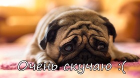 Открытка! Скучаю! Грусть какая-то. Как-то одиноко без тебя! Открытка Я Тебя люблю! Я испытываю невероятную боль… Но болит не орган и не часть...