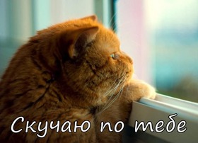 Картинка! Я по тебе скучаю! Очень сильно скучаю. Сердечная открытка! Такое чувство, что я сейчас не в этом мире, а где-то, где...