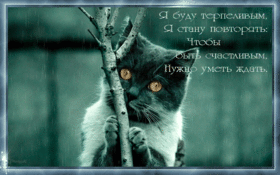 Новая открытка! Скучаю! Так хочется быть рядом с тобой! Грустно без тебя. Красивая открытка и слова. Сутки стали казаться длиннее от того, что очень не хватает...