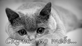 Картинка! Я по тебе скучаю! Очень сильно скучаю. Сердечная открытка! Как-то грустно мне сегодня: вроде бы ничего не болит и не...