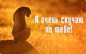 Новая картинка! Скучаю! Как-то одиноко без тебя! От чистого сердца! Открытка Я Тебя люблю! Тебя сегодня нет рядом, и все валится из рук. Все идет не...