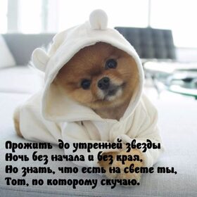 Открытка про любовь! Скучаю по Тебе! Красивая картинка! Я Тебя люблю! Загляни мне в глаза и прочти судьбу… Видишь скуку? Возьми...