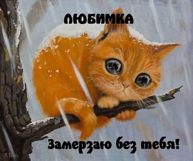 Картинка! Я скучаю сильно по Тебе! Красивая открытка! Грустно. Я Тебя люблю! Я по тебе очень скучаю. Такое чувство, что от меня отделили...