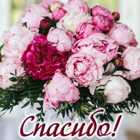 Картинка! От души благодарю! Сердечная открытка! Недаром говорят: ласковое слово и кошке приятно. А как...