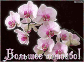Открытка! Спасибо! Открытка! Есть люди, которые делают этот мир добрее. Ты относишься...