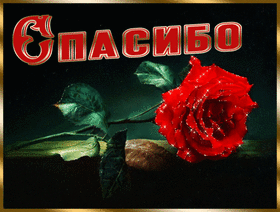 Картинка! Спасибо за всё! Так приятно! Красивая картинка. Так здорово получить в праздник такие душевные посылы...