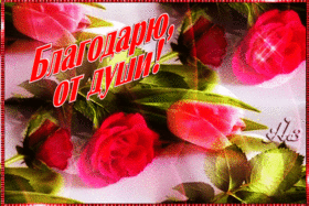 Картинка! Спасибо за всё! Так приятно! Красивая картинка. Очень приятно было получить поздравление, как будто сердце...