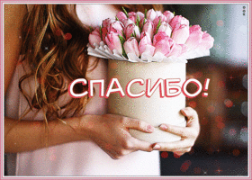 Картинка! Спасибо большое! Благодарственная открытка! Хочу выразить свое искреннее удивление и, конечно...