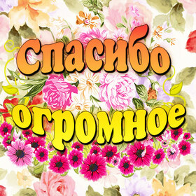 Открытка! Спасибо от души! Красивая открытка! Благодарю! Всем говорю горячее спасибо за нежные слова в мой адрес...