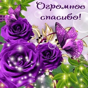 Открытка! Спасибо. Картинка. Как все-таки приятно получать поздравления! Особенно если...