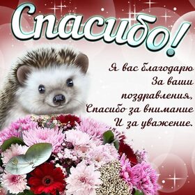 Картинка! Спасибо за всё! Так приятно! Красивая картинка. Как же все всегда радостно получать подарки! Сразу в душе...