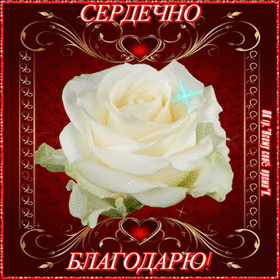Картинка! Спасибо! Открытка! Большое тебе спасибо! На самом деле, никаких слов не...