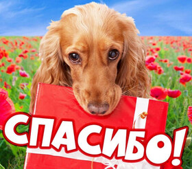 Открытка! Спасибо большое! Благодарственная открытка! Как хорошо, что есть люди, способные выслушать, помочь в...