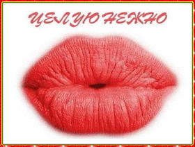 Картинка! Целую тебя! Открытка от души с поцелуями! Ты освещаешь эти серые будни и рутину, словно солнечный...