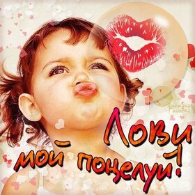 Картинка! Целую! Открытка! Никак не могу перестать любоваться твоим невероятным...