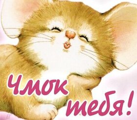 Картинка! Целую! Открытка! Как обычно, выглядишь шикарно и неотразимо