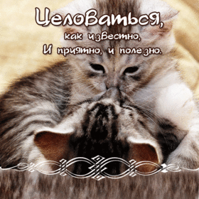 Картинка! Целую! Открытка! Ты выглядишь настолько сногсшибательно, что у меня язык...