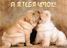 Картинка! Открытка со словом Целую! Картинка! Ты очень молодо и отлично выглядишь