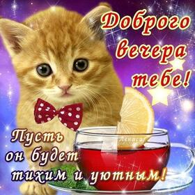 Открытка! Добрый вечер! Открытка! Без хорошего настроения нет счастливой жизни, без хорошего...