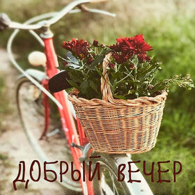 Картинка! От души! Добрый вечер! Сердечная открытка! Я желаю тебе множество успехов, всегда и во всем! Пусть они...