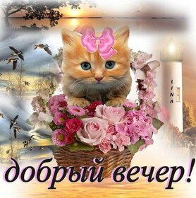 Открытка! Добрый вечер! Открытка! Как хорошо! — Вот эту фразу я желаю тебе произносить...