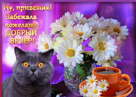 Открытка! От души! Добрый вечер! Сердечная открытка! В самый счастливый день — самые чудесные пожелания...