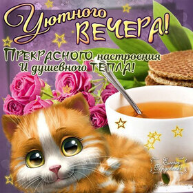 Картинка! С добрым вечером! Открытка на вечер! Я искренне и от всей души желаю тебе счастья —...