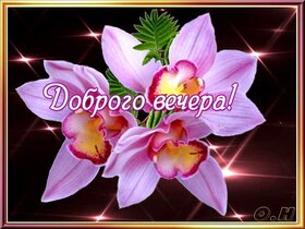 Картинка! Добрый вечер! Открытка! Пусть в твою жизнь постучится огромное счастье и останется...