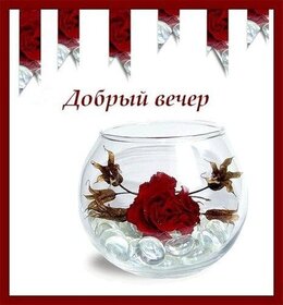 Открытка! Добрый вечер! Открытка! Желаю тебе хорошего и продуктивного дня! Пусть солнце ярко...
