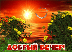 Открытка! Красивая открытка! Картинка! Добрый вечер! Желаю, чтобы этот день был просто отличным! Пусть он будет...