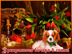 Открытка! Доброго вечер! Открытка! Оригинального, веселого и душевного завершения рабочей...
