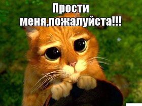 Картинка! Прости меня! Картинка! Любимая, я знаю, что был неправ. Понимаю, что ты сердишься...