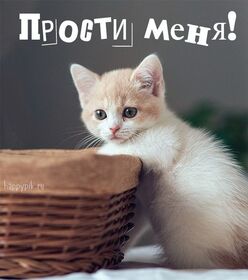Открытка! Красивая открытка! Картинка! Прости меня! Очень жаль, что сегодняшняя ситуация сложилась не самым...
