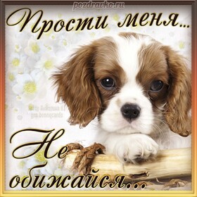 Открытка! Прости меня! Открытка! Любимая, я знаю, что был неправ. Понимаю, что всё, что я...